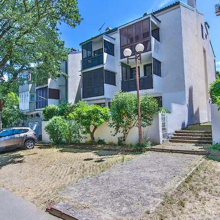 Rona Gradina - In The Green Apartment